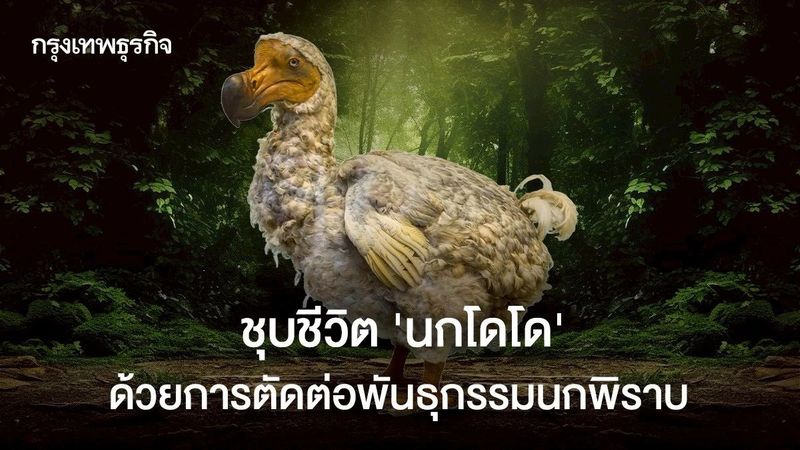ชุบชีวิต ‘นกโดโด’ ด้วยการตัดต่อพันธุกรรมเซลล์จากนกพิราบ