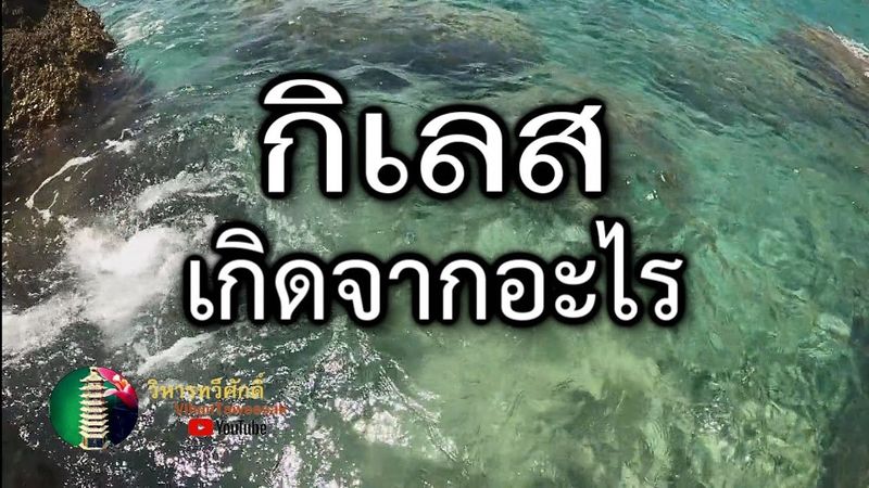 280 กฎแห่งกรรม เรื่อง กิเลสเกิดจากอะไร