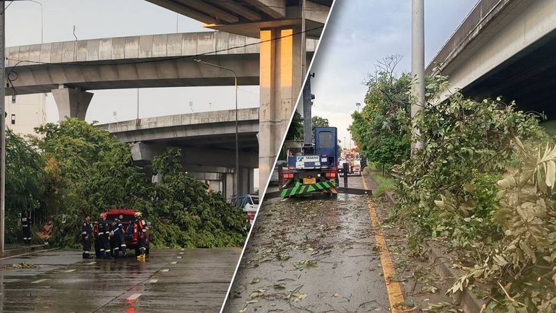 พายุฝนถล่ม กทม. ต้นไม้ล้มขวางถนน-บ้านพัง-ไฟดับ การจราจรเป็นอัมพาตหลายจุด