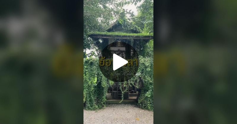 TikTok · คิดจะเล่น