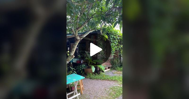 TikTok · คิดจะเล่น