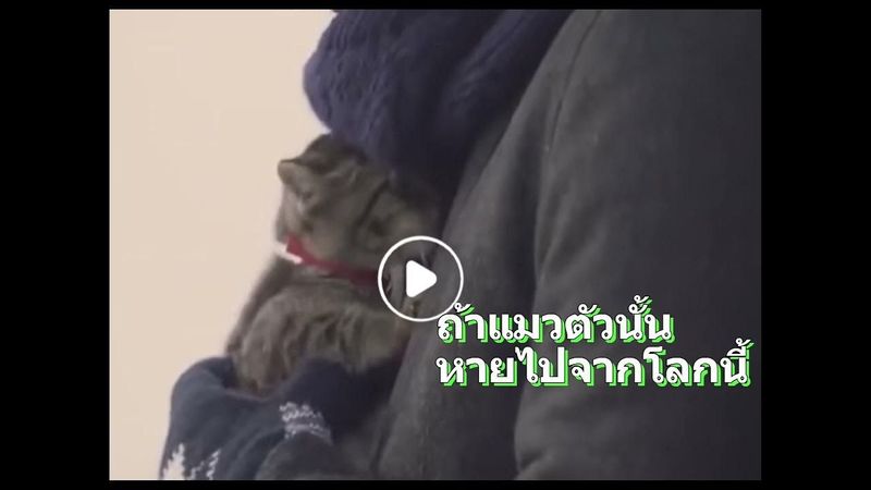 ถ้าแมวตัวนั้นหายไปจากโลกนี้