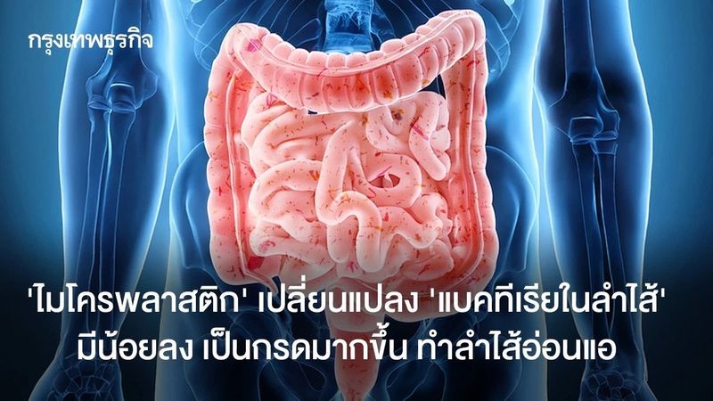 ‘ไมโครพลาสติก’ เปลี่ยนแปลง ‘แบคทีเรียในลำไส้’ มีน้อยลง เป็นกรดมากขึ้น ทำลำไส้อ่อนแอ