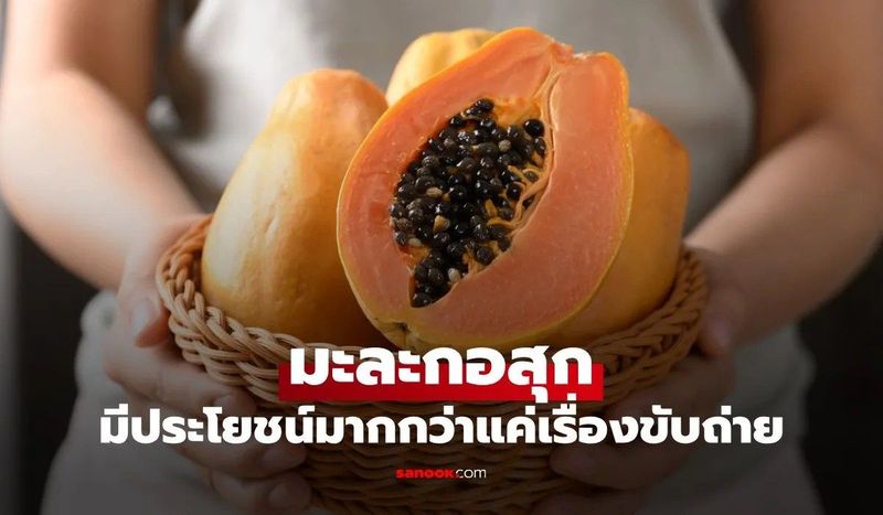 มะละกอสุก: ผลไม้สีทองแห่งสุขภาพ ที่ไม่ควรมองข้าม