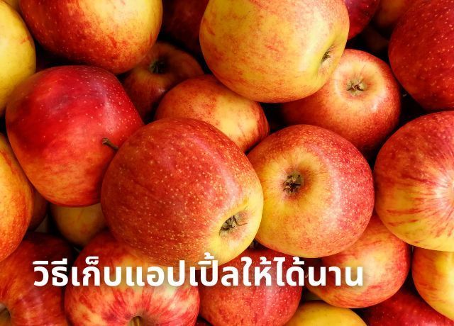 เทคนิค ”ยืดอายุ” แอปเปิ้ล: วิธีเก็บให้สด กรอบ นานเป็นเดือน!