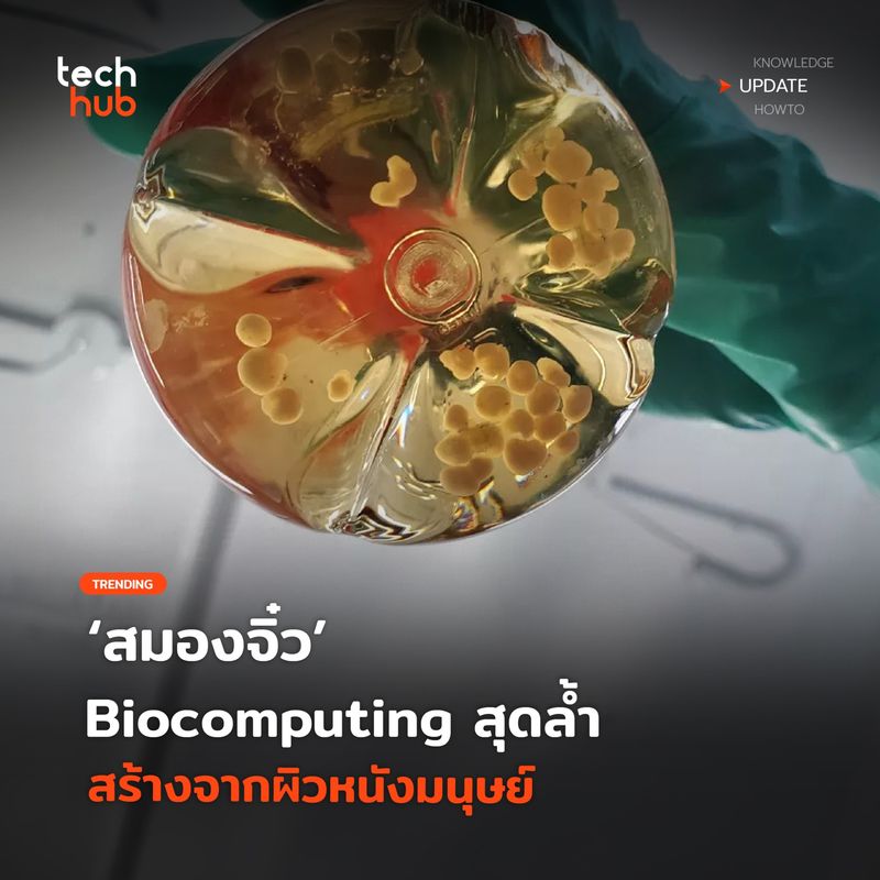 [Techhub] พรมแดนใหม่ ว่าด้วย Biocomputing หรือชีววิทยาและเทคโนโลยีคอมฯ ...