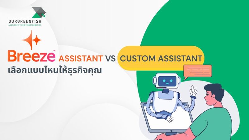 Breeze Assistant VS Custom Assistant เลือกแบบไหนให้ธุรกิจคุณ