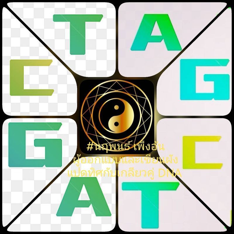 [Enve Engi] แนวคิด อี้จิ้ง เชื่อมโยงกับ DNA[เบส A,T,C&G] และเป็นแรงบันดาลใจแก่ระบบ binary (เลขฐานสอง)
RNA สายเดี่ยว
สังเคราะห์โปรตีน
เวียนว่ายตายเกิด
มี 4
อริยสัจ 4
A G
C
มรรค หนทางดับทุกข์
เปลี่ยนจาก
U เป็น T
#