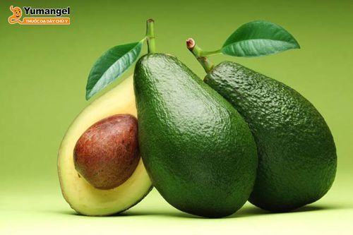 Trào ngược dạ dày có ăn được bơ không? - Yumangel.vn