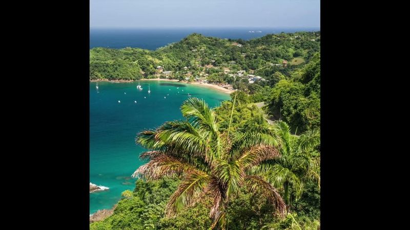 Geese - Trinidad (Official Audio)