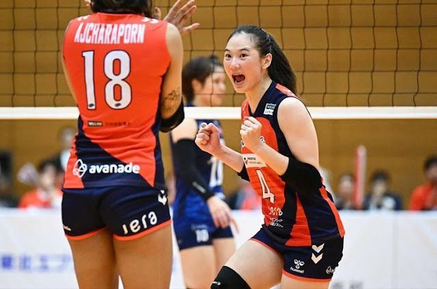 ประวัติ ยูฟ่า ดลพร สินโพธิ์ ดาวรุ่งวอลเลย์บอลหญิงทีมชาติไทย