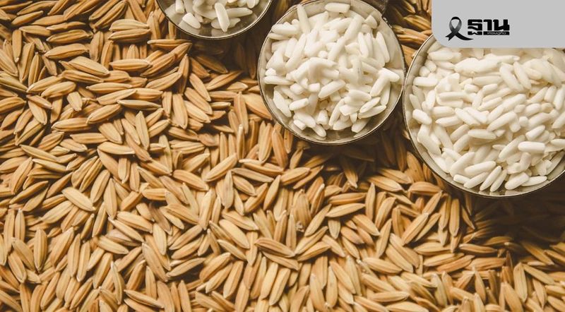 ธ.ก.ส.จ่อระบายข้าว 6.5 หมื่นตัน จับตา ‘หอมสยาม’ ข้าวพันธุ์ใหม่