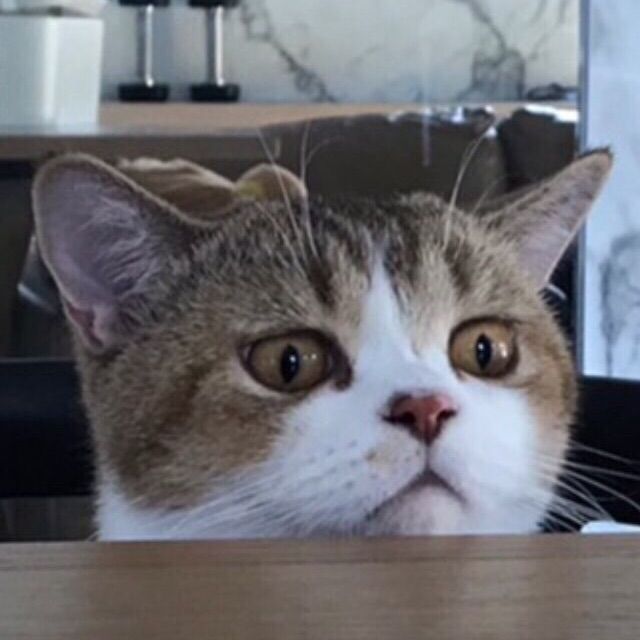 [sydNEY: The Storiographer] เอาเป็นว่า
ผมชอบคำกล่าวที่ว่า