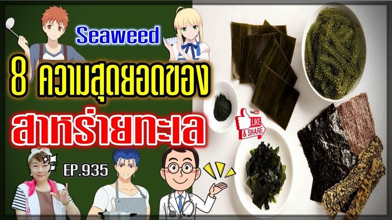 (937) 8 ความสุดยอดของ สาหร่ายทะเล !! | Seaweed | พี่เล็ก Lek Amazing