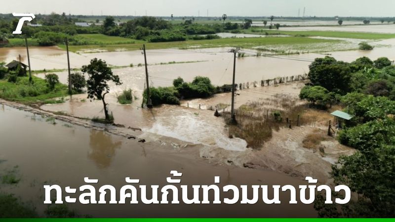 ต้านไม่อยู่ คันคลองที่สิงห์บุรีพัง น้ำทะลักท่วม 2 ชุมชน เร่งยกของขึ้นที่สูง