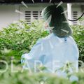 Solar Farm Thailand (Cannabis Wholesaler and Retailer) ร้านกัญชาขายส่ง/ปลีก