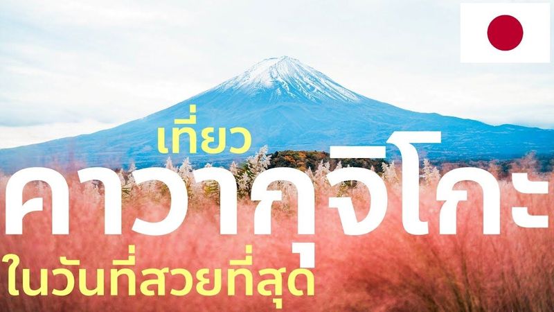 ขับรถเที่ยวคาวากุจิโกะวันใบไม้แดงพีคสุดของปี ฟูจิซังชัดทุกมุม สวนโออิชิสุดอลัง เที่ยวญี่ปุ่น