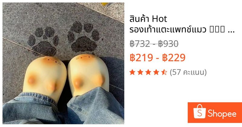 🐾 สินค้า Hot รองเท้าแตะแพทช์แมว 귀여워 情侶款 มีน้ำหนักเบา อบอุ่น ป้องกันน้ำ กันลื่น สำหรับหญิงชาย | Shopee Thailand