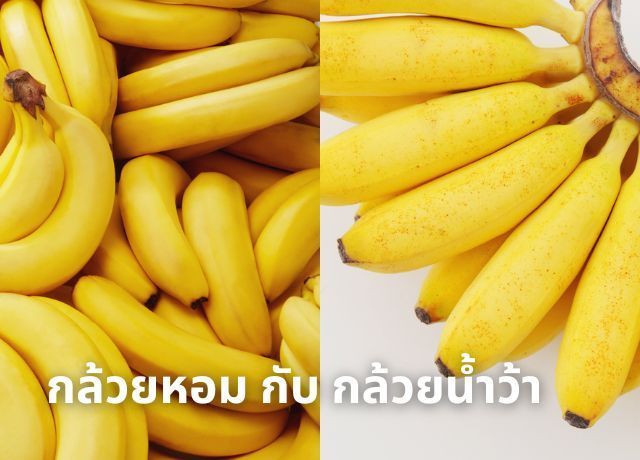 กล้วยน้ำว้า vs กล้วยหอม: เลือกแบบไหนให้ถูกใจและดีต่อสุขภาพ?