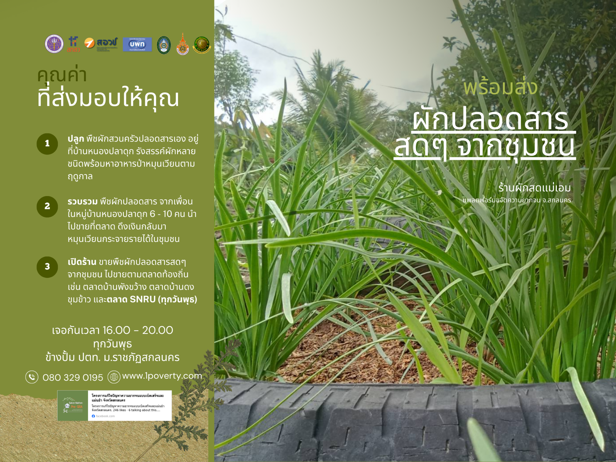 จากสวนหลังบ้านสู่ "ตลาด SNRU" โมเดลกระจายรายได้ชุมชนที่น่าจับตามอง