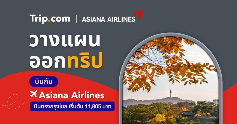 Asiana Airlines Exclusive Deals