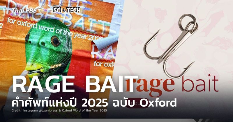 ‘Rage Bait’ ขึ้นแท่นเป็นคำศัพท์แห่งปี 2025 จาก Oxford | Thai PBS NOW