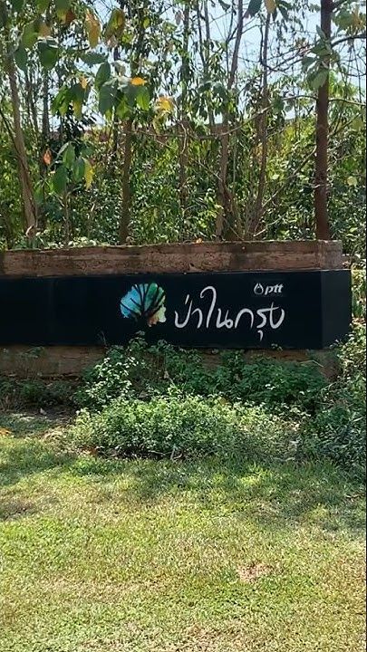 #ป่าในกรุง #ปตท #ธรรมชาติ #เที่ยว