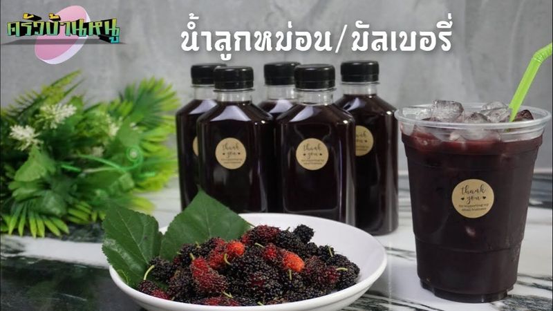 วิธีทำน้ำลูกหม่อน น้ำมัลเบอรี่ | ครัวบ้านหนู
