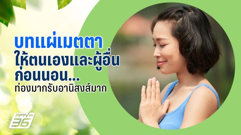 บทแผ่เมตตา คําแผ่เมตตา ท่องก่อนนอนทุกคืน ยิ่งได้อานิสงส์มาก