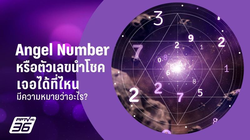 Angel Number ตัวเลขนำโชคคืออะไร? และมีความหมายอย่างไร