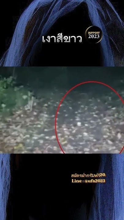 เงาสีขาว #น่ากลัว #ผี