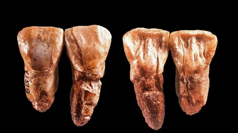 [Enve Engi] มนุษย์ลิงหยวนโหมวYuanmou Homo erectus ในยูนนาน เมื่อ 1.7 ล้านปีก่อน
Yuanmou Homo erectus ในยูนนาน เมื่อ 1.7 ล้านปีก่อน 1 พฤษภาคม พ.ศ. 2511 นักโบราณคดีชาวจีนได้ค้นพบฟอสซิลฟันหน้าของมนุษย์ลิง รวม 2 ซ