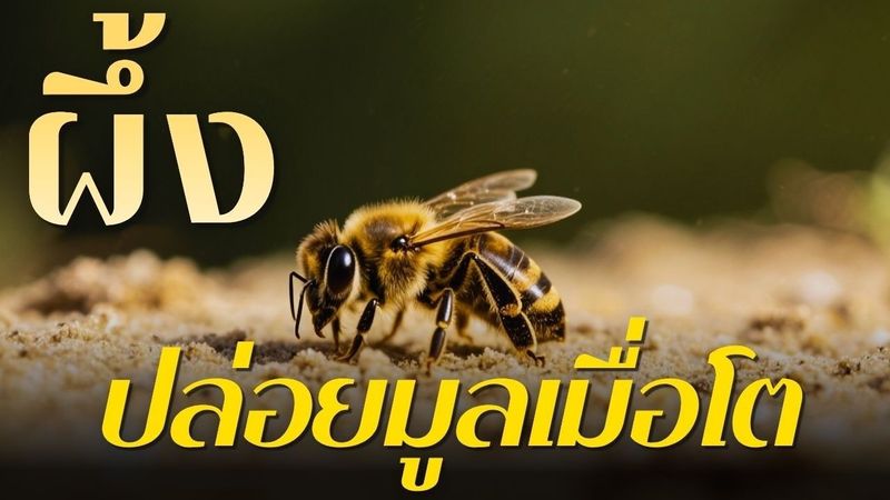 การขับถ่ายที่แปลกประหลาดในอาณาจักรสัตว์