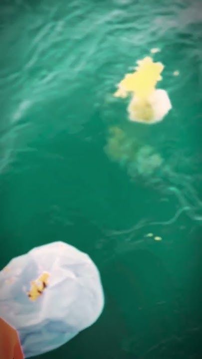 ส่งแม่ด้วยมือตัวเอง