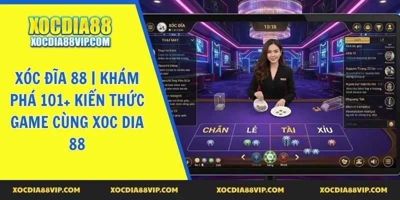 Xóc Đĩa 88 | Khám Phá 101+ Kiến Thức Game Cùng Xoc Dia 88