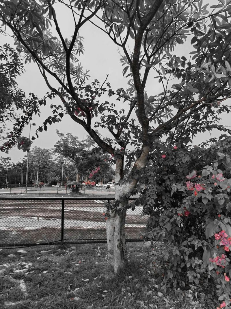 เรื่องเล่าจากเต็นท์นอนสีน้ำเงิน