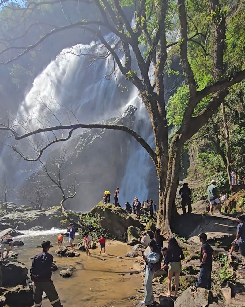 [กฤษณา โพธิ์ศรีขาม] ตอนที่ 1 จากขอนแก่นสู่อุทยานแห่งชาติคลองลาน จ. กําแพงเพชร ในวันส่งท้ายปีเก่า 2568
” น้ำตกคลองลาน อุทยานแห่งชาติคลองหลาน สดชื่น สดใส มากกว่าที่คิด” เริ่มออกเดินทางจากจังหวัดขอนแก่น มุ่งสู่จังหวัดกำ