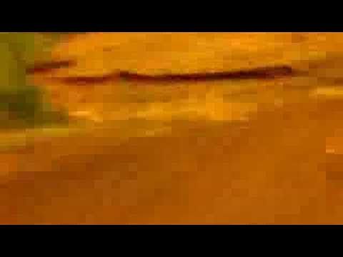 The Prodigy - Voodoo People (Official Video)