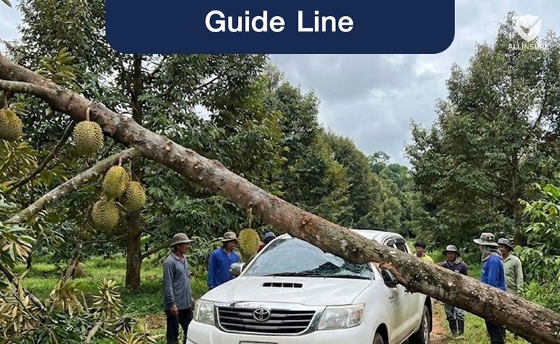 กระบะ ”สวนทุเรียนจันท์” ทำไมประกันชั้น 3 ถึงไม่พอ?