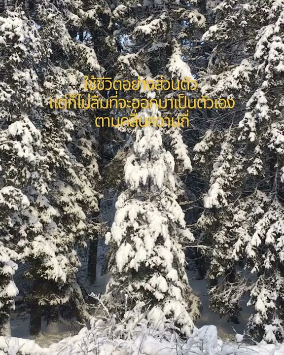 Living Life in The NEW EARTH❄☃ #inspiration #livingnewearth