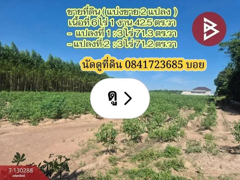 Lemon8 · ขายที่ดิน 6 ไร่ 1 งาน 42.5 ตร.วา อ.พนัสนิคม ชลบุรี · @CHAY - BOYZ