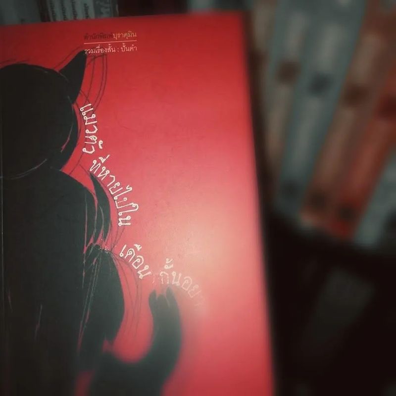 วัตถุจีรังในรอยจำ