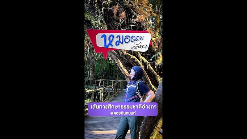 หมอตุลยาพาเที่ยว Ep. ดอยอ่างกาป่าดึกดำบรรพ์ บนดอยอินทนนท์ จ.เชียงใหม่