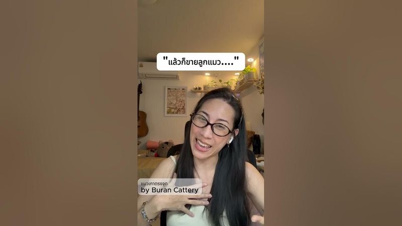 แมวหูพับถูกแบน สาเหตุจากสายพันธุ์หรือมนุษย์?