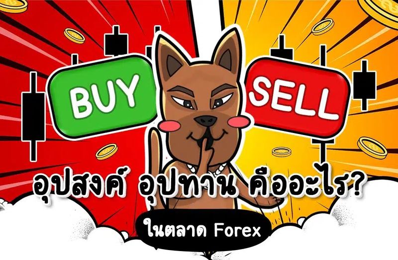 อุปสงค์ อุปทาน คืออะไร? หลัก Demand Supply ที่ควรเข้าใจ - เว็บไซต์ของเราเป็นสื่อออนไลน์ที่ให้ความรู้เรื่องการลงทุน ไม่ว่าจะเป็น forex หุ้น หรือเเม้กระทั้งคริปโตฯ ให้เข้าใจง่าย เเละอ่านสบาย เหมาะสำหรับมือใหม่ที่อยากท่องโลกของการลงทุน