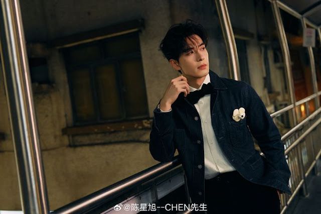 ส่องผลงานเด่น เฉินซิงซวี่ (Chen Xing Xu) พระเอกสุดฮอตเจ้าของรางวัลการแสดงระดับคุณภาพ