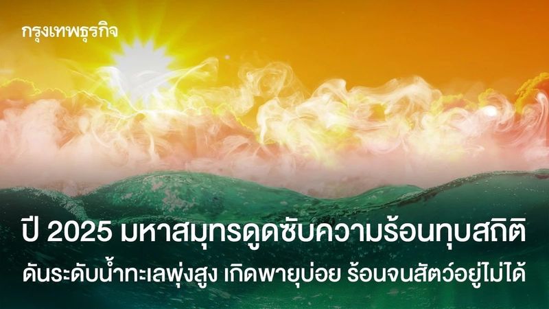 ปี 2025 มหาสมุทรดูดซับความร้อนมากสุด ระดับน้ำทะเลพุ่งสูง เกิดพายุรุนแรงบ่อยขึ้น