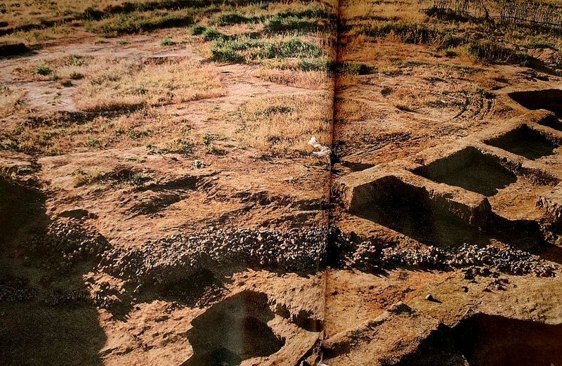 [Enve Engi] กำเนิดมังกรจีนจ้าวไห่ 8,000 ปี บ้านมุงหลังคา ก่อสร้างฐานราก มังกรสำริด เกษตรกรรม ดาราศาสตร์ ดนตรี
ประติมากรรมมังกรหิน 8,000 ปีก่อน มังกรหินมีความยาว 19.7 เมตร จากแหล่งโบราณคดีจ้าวไห่ ในเมืองฟู่ซิน