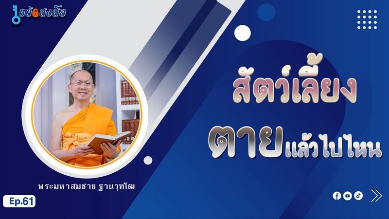 สัตว์เลี้ยงตายแล้วไปไหน | ไขข้อสงสัย ep.61 | 26-01-67 | ThanavuddhostryOfficial |