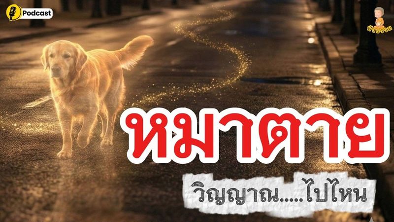 หมาตาย...วิญญาณไปไหน!! I @เสียงสีขาว #ฟังธรรม #buddha #ธรรมะสอนใจ #เมตตาบารมี